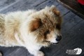 열심히 일한 당신 떠나롸>ㅅ< [수상스키]